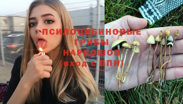 скорость Богданович